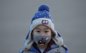 Egy kutatás szerint genetikai elváltozást okozhat a gyerekek szervezetében a légszennyezés