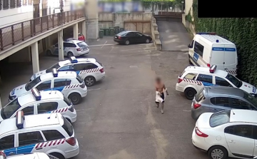 A rendőrség udvarára mászott be - VIDEÓ