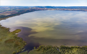 A lehűlés megállította az algák szaporodását a Balatonban